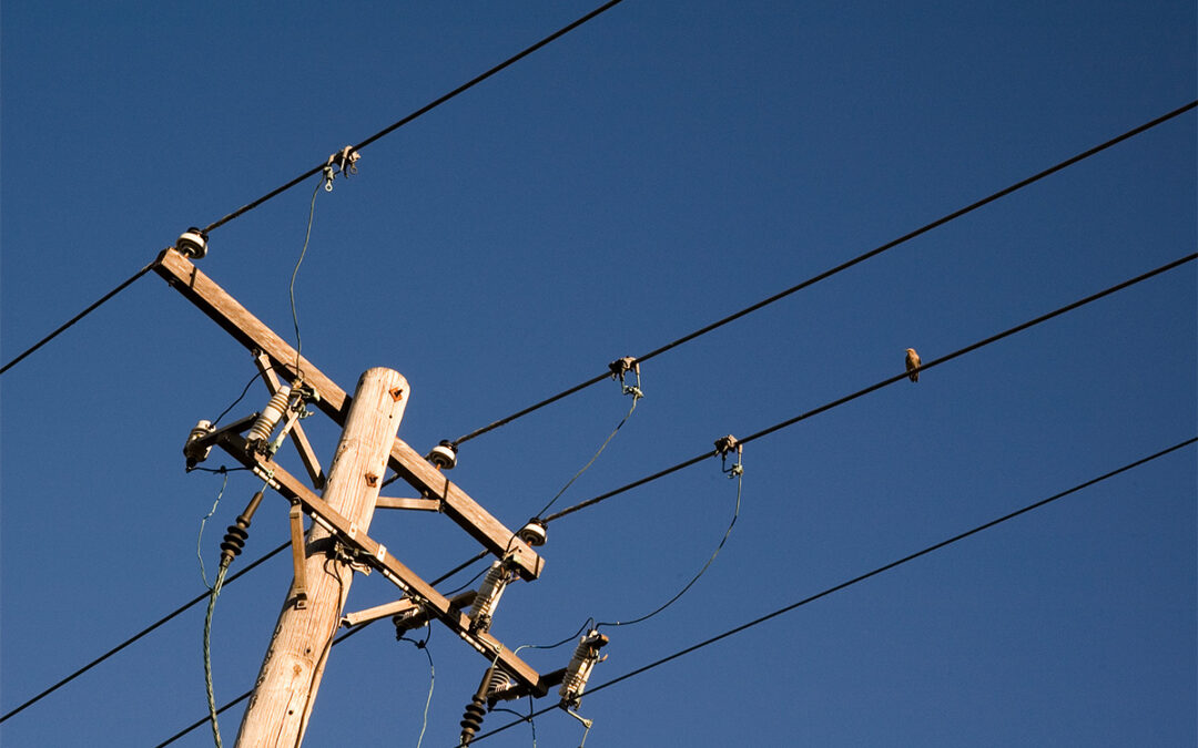 Creosote and Penta Treated Utility Poles and Environmental Compliance: What Municipalities Need to Know